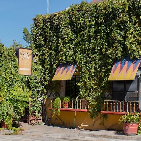 Hotel Huizache Saltillo Dış mekan fotoğraf